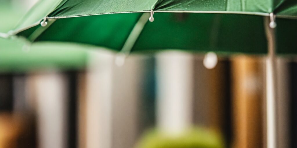 image of a green umbrella