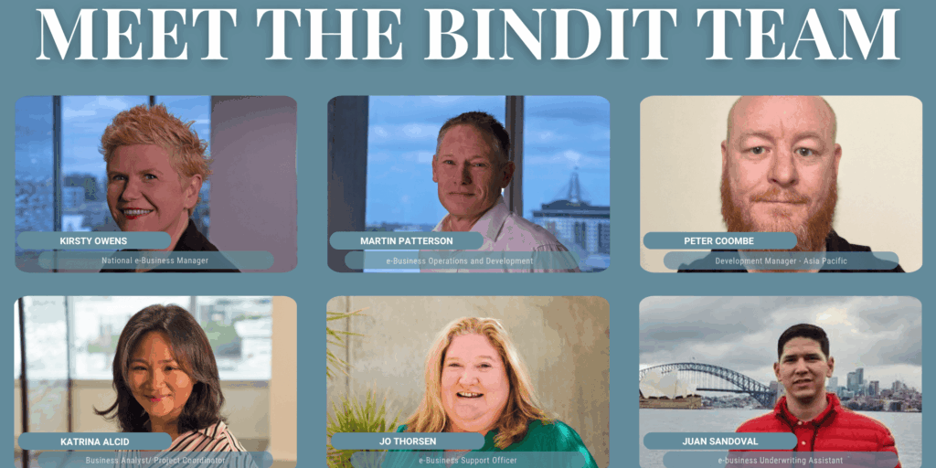 Meet the bindIT Team - Landscape